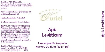 Apislevisticumampule (Apislevisticumampule)