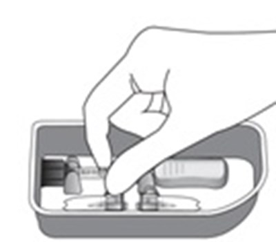 Step 7 (Xipere 08)