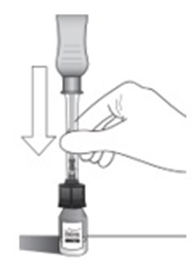 Step 8 (Xipere 09)