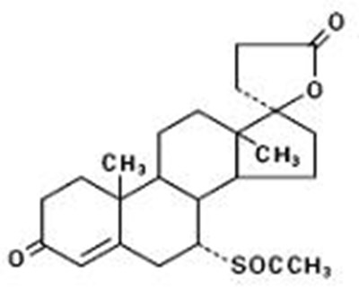 19dcadf3-8242-413a-9a0d-a2181ef1e2ff-01.jpg Image - 19dcadf3 8242 413a 9a0d a2181ef1e2ff 01