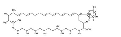 'c47h75no17mw 926.13' (Nystatin Oral Suspension Usp 1)