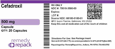 Remedy_label (Remedy Label)
