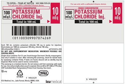 potassium-02.jpg PRINCIPAL DISPLAY PANEL - 100 mL Bag Pouch Label - potassium 02