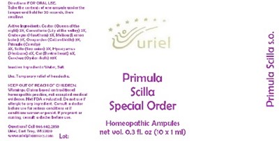 Primulascillaspecialorderampules