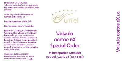 Valvulaaortae6soampules