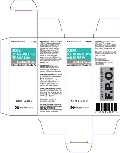 Carton