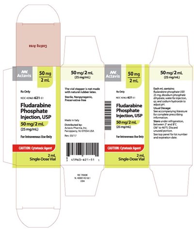 image-3.jpg 1 - image 3