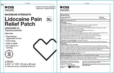 Principal Display Panel – Patch Label - cvs0p 0000 02