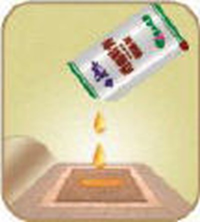 Image 4 - cheezhang 04