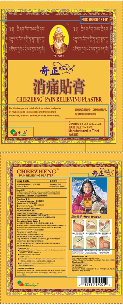 PRINCIPAL DISPLAY PANEL - 8 Hour Patch Label - cheezheng 07