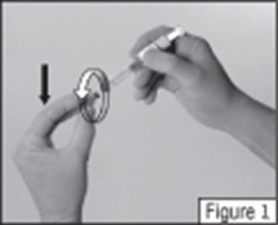 Figure 1 (Cd7bea8f 5fc2 4e22 90b4 D91f4f59bff1 01)