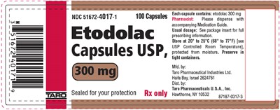 etodolac-03.jpg Principal Display Panel - 300 mg Capsule Bottle Label - etodolac 03