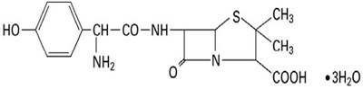 Amoxicillin Structure (Amoxicillin And Clavulanate Potassium For Oral Sus 1)