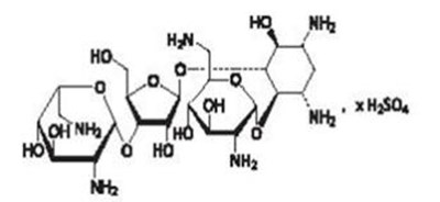 The structural formula for neomycin sulfate - maxitrol suspension 02