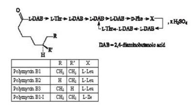 The structural formula for polymyxin B sulfate - maxitrol suspension 03