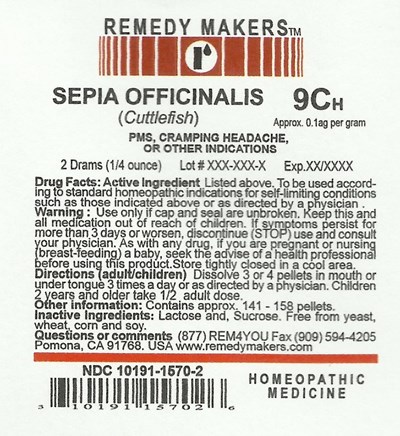 Sepiaofficinalis9c (Sepiaofficinalis9c)