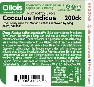 FLAT_ollois_COCCULUS_200CK.jpg COCCULUS 200CK - FLAT ollois COCCULUS 200CK