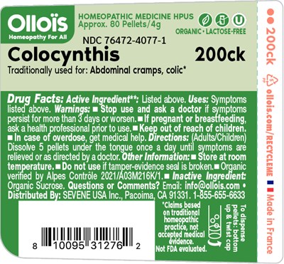 FLAT_ollois_COLOCYNTHIS_200CK.jpg label - FLAT ollois COLOCYNTHIS 200CK