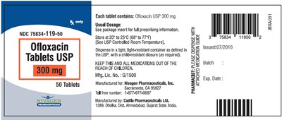 ofloxacin-04.jpg PRINCIPAL DISPLAY PANEL - 300 mg Bottle Label - ofloxacin 04