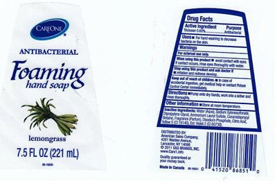 c4.jpg IMAGE OF ANTIBACTERIAL FOAMING - c4