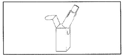 Image Of Placing Bottle In Carton (4439cb3d 6825 4558 A981 122ec15f7b05 05)