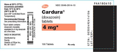cardura-11.jpg cardura 11