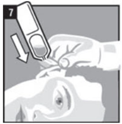 Step 7 (Clotic 08)