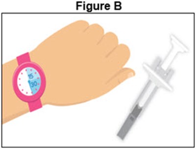 Figure B (Prefilled Syringe)