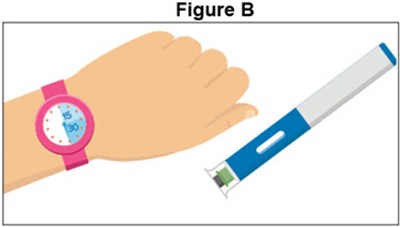 Figure B (Autoinjector)