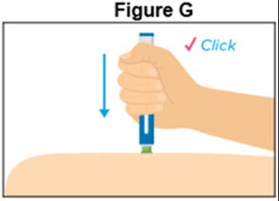 Figure G (Autoinjector)