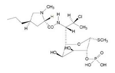 Clindamycin Structure