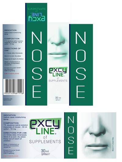 Principal Display Panel (Nose)
