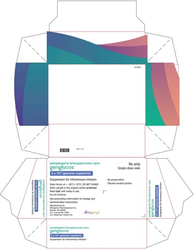 Principal Display Panel (Kit Carton)