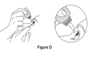 Figure D (Figure D)