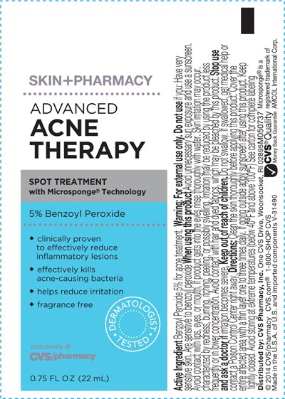 Principal Display Panel (Label)