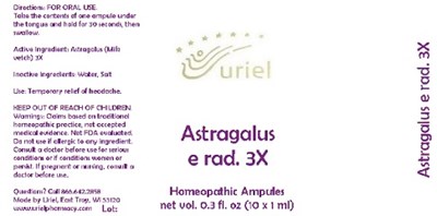 AstragalusERad3Ampules.jpg AstragalusERad3Ampules