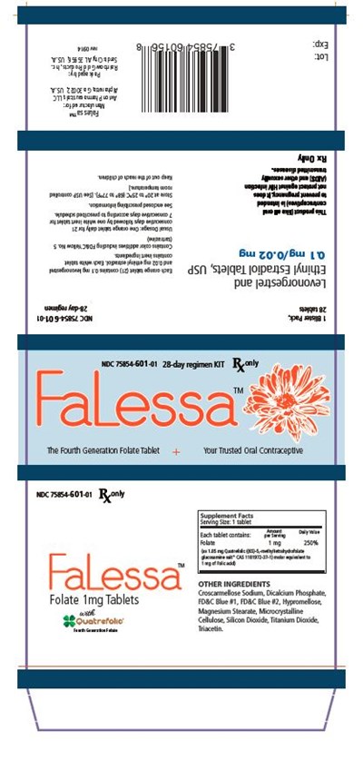 ce17984c-e5d8-4966-a606-f8b7f44b14af-07.jpg Falessa Kit - ce17984c e5d8 4966 a606 f8b7f44b14af 07