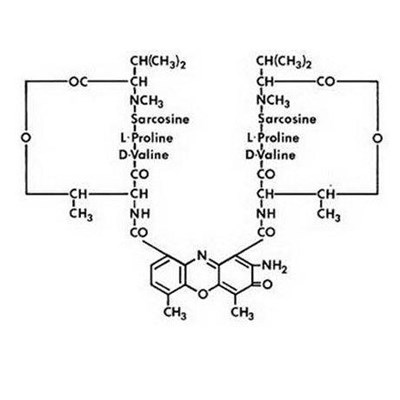 Structure (Dactinomycin For Injection 1)