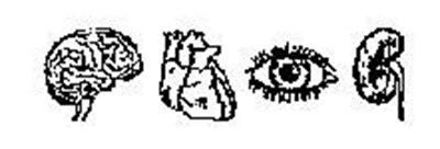 This Is The Brain And Eye (Minoxidil 3)