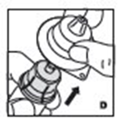 Reconstitution D - image 05