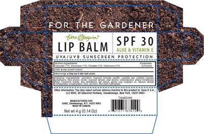 Principal Display Panel (4 g Carton)
