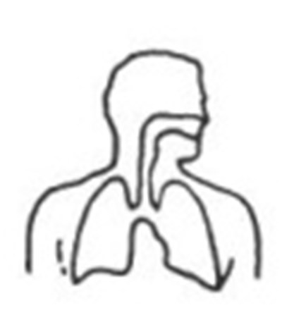 Figure 13 (Minoxidil 13)