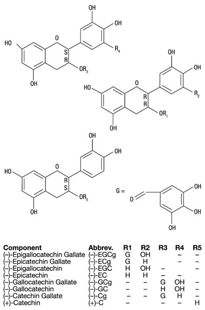 Structure - Structure