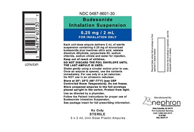 Budesonide 11