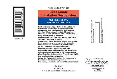 Budesonide 15