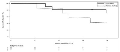 Figure 1 - skysona 01