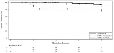 Figure 2 - skysona 02