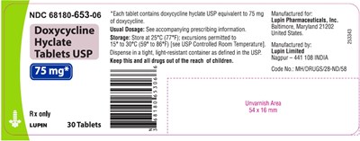 Image-8 - 7d72fad0 1229 491f 9d45 eeb74c918929 05