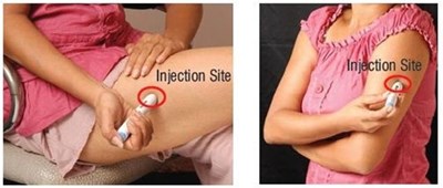 How-to-use-figure2 (How To Use Figure2)