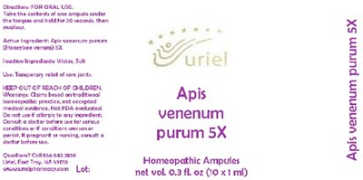 Apisvenemumpurum5xampule (Apisvenenumpurum5xampule)